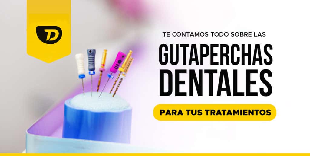 Gutapercha Dental: Te lo contamos todo